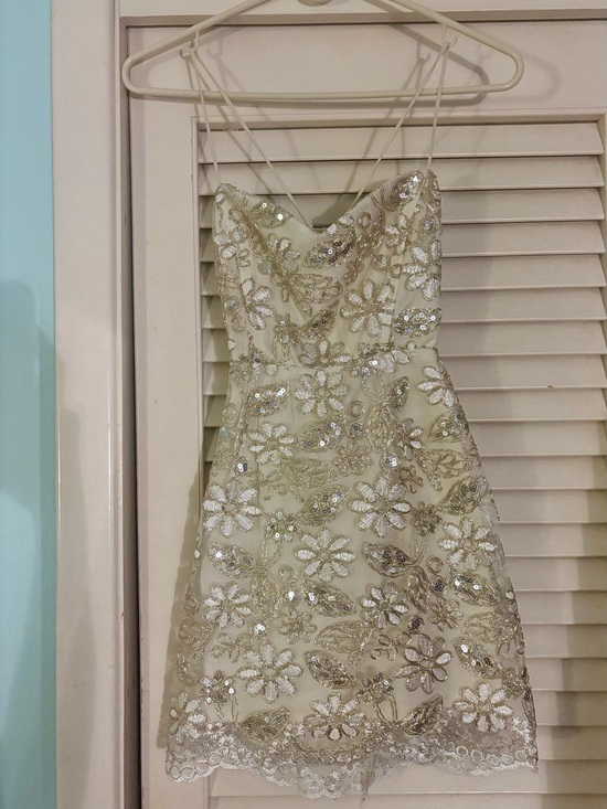 Lucy in the Sky Dresses & Skirts - Lucy in the Sky Ivory Floral Sequin Mini Dress